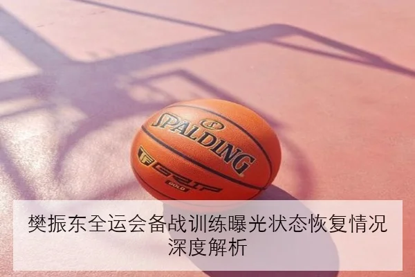 樊振东全运会备战训练曝光状态恢复情况深度解析