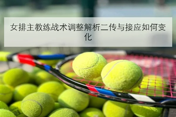 女排主教练战术调整解析二传与接应如何变化